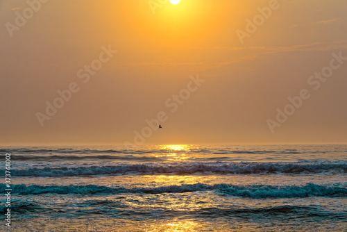 Sunset over the sea and flying birds. Beautiful scenic seascape  tropical beach background