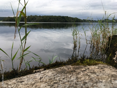 Calm evening on lake Garadice, County Leitrim, Ireland photo