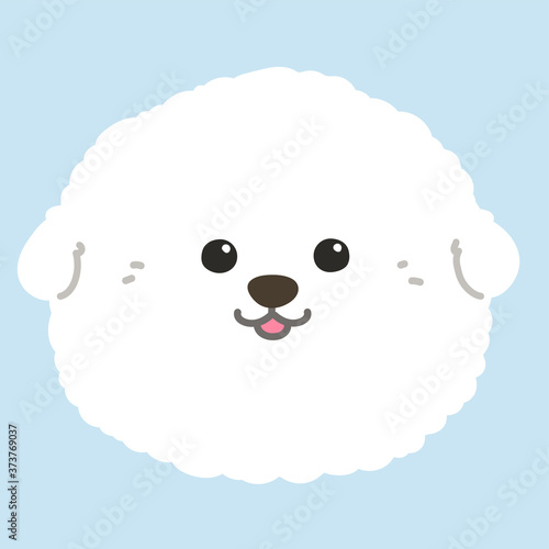 Flat colored white Bichon Frise front face