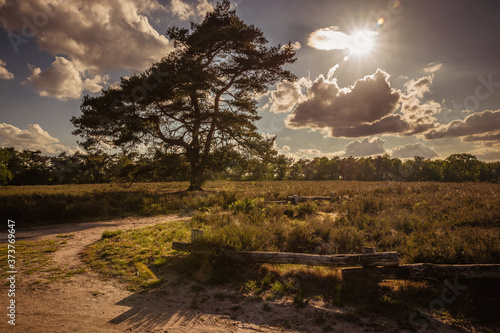 Ausflug in die Westruper Heide bei Haltern photo