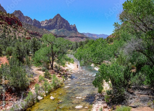 Stream and mountain in Zion National Park