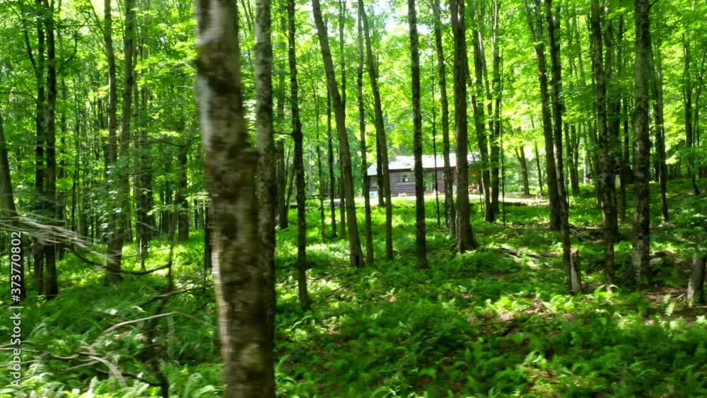 Scenic Slider Shot of a Cabin Set Deep in the Woods Scenic Slider Shot of a Cabin Set Deep in the Woods