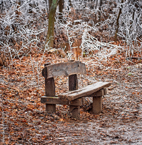Bench in winter in the forest