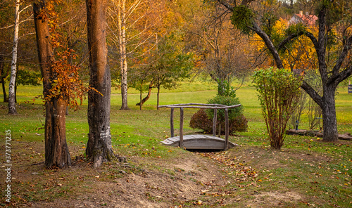 Wooden bridge in the forest...
