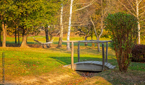 Wooden bridge in the forest...