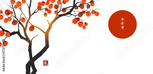 Persimmon tree with big orange fruits and big red sun on white background. Translation of Hieroglyphs - peace, tranquility, clarity, life energy. Vector illustration in japanese style.