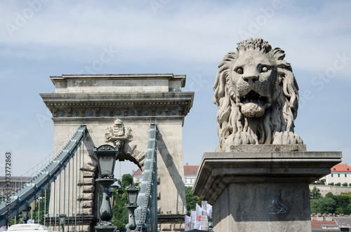 Lion statue in Budapest, Hungary