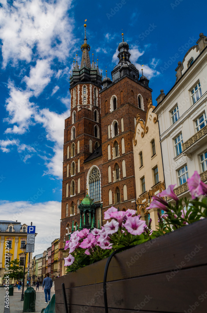 Naklejka premium St. Mary's Church with flowers, Cracow, Poland