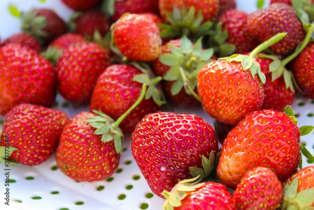 Background from freshly harvested strawberries, directly above. Summer photo with beautiful and juicy strawberries. Fresh organic berries macro. Red ripe. Close up, isolated. Background from freshly harvested strawberries, directly above. Summer photo with beautiful and juicy strawberries. Fresh organic berries macro. Red ripe. Close up, isolated.