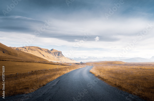 Icelandic landscape with asphalt road