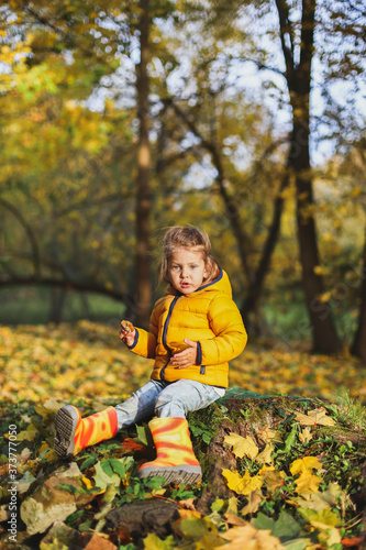 Little funny girl in stylish yellow warm jacket, jeans, orange rubber boots sits on old tree stump in autumn forest or park outdoors. Maple leaves foliage on ground. Concept fall family photo shoot © velirina
