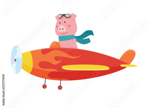 Cute pig wearing aviator goggles flying an airplane with scarf fluttering. Funny pilot flying on planes. Cartoon vector illustration isolated on a white background