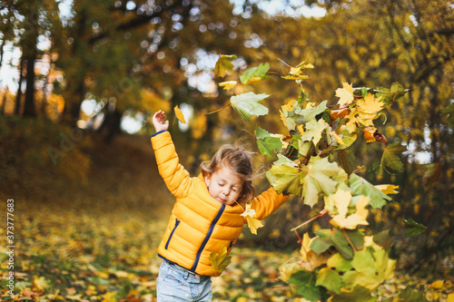 Little funny girl in stylish yellow warm jacket, jeans and rubber boots playing in autumn forest or park outdoors, throwing up old maple leaves and foliage. Concept fall family photo shoot
