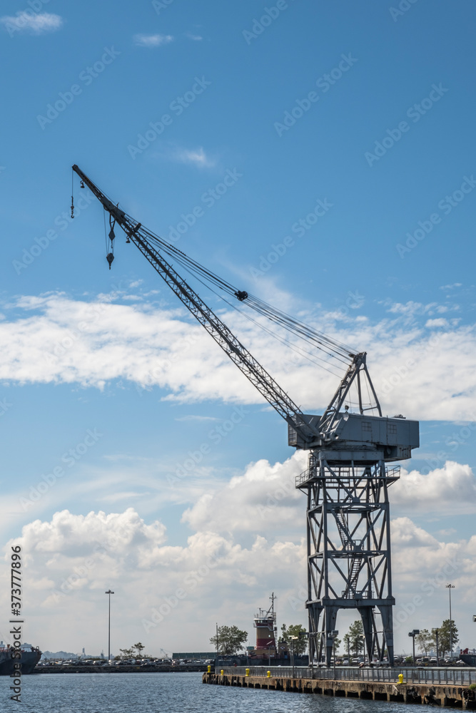 cranes in the harbor