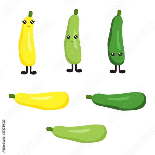 
Bright vegetable marrow with cute cartoon eyes and legs in a flat style isolated on white background. Vegetarianism with vegetables and proper nutrition.
 Stock vector illustration for decoration and