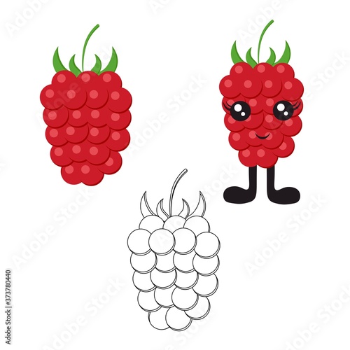 Bright raspberry with cute cartoon eyes and legs in a flat style isolated on a white background. Vegetarianism with berries and proper nutrition.
 Stock vector illustration for decoration and design.