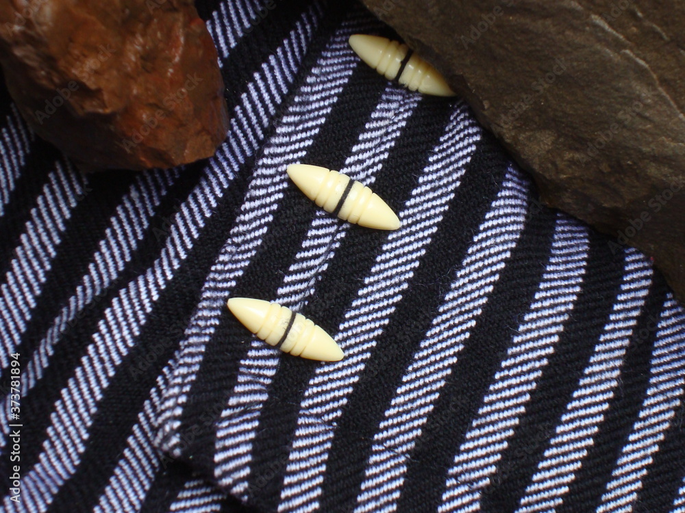 Tarugos en pantalón charro Stock Photo | Adobe Stock