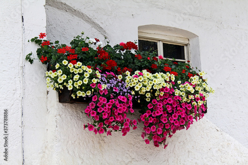 Balcone fiorito a Prissiano (Bolzano) photo