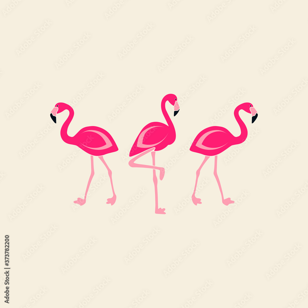Fototapeta Illustration of cute flamingo. Can be used like sticker or for birthday cards and party invitations.