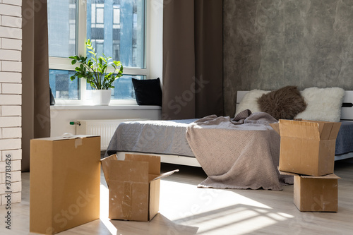 Photography View of packed cardboard boxes in living room of a new home