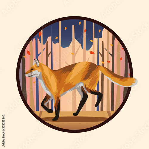 wild fox animal in the forest scene