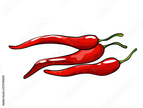 Hand drawn chili pepper. Isolated hot spicy mexican pepper on white background. Natural healthy food. Spicy ingredient
