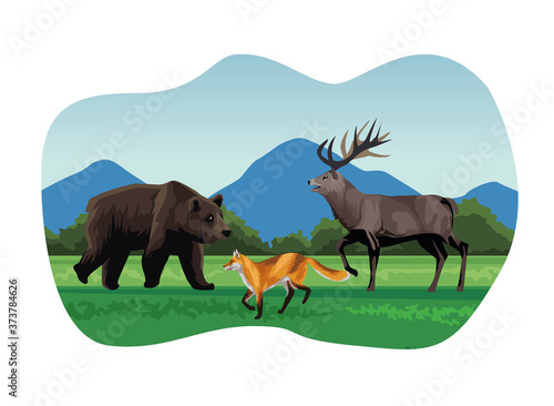 big bear and fox with reindeer animals in the landscape scene © Jemastock