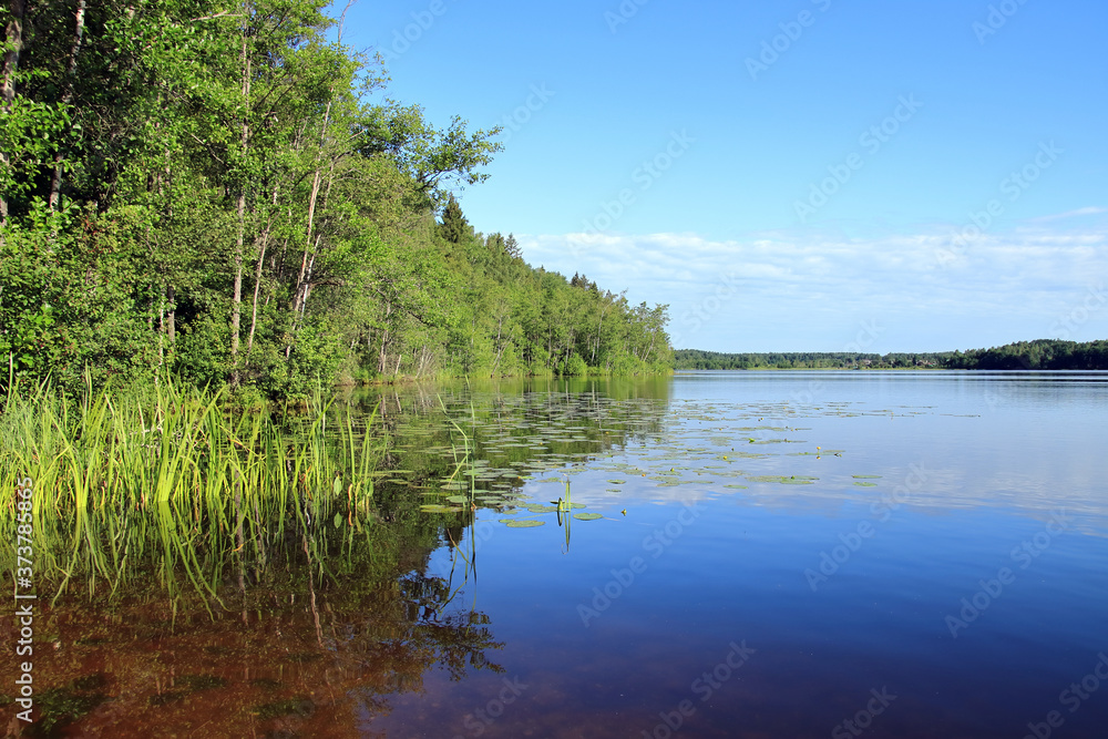Naklejka premium calm on the lake at dawn