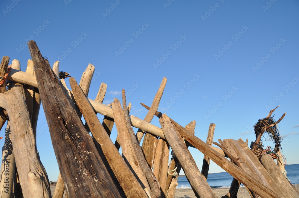 Beach Wood Beach Wood