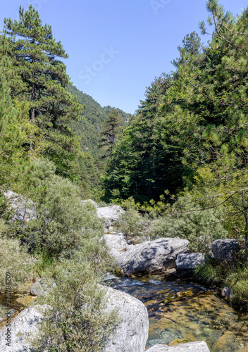 Cold, mountain river flows on a sunny summer day