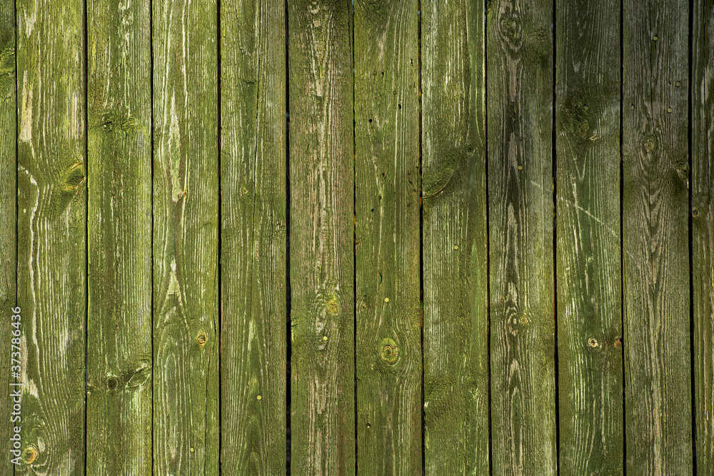 Texture of old boards with shabby green paint. Background Texture of old boards with shabby green paint. Background