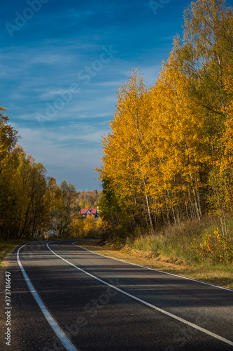 Highway  road and autumn trees with blue sky. Beautiful autumn natural landscape