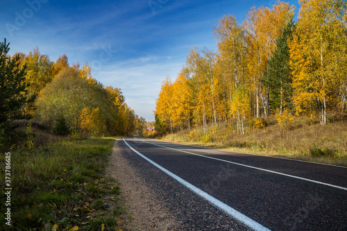 Highway, road and autumn trees with blue sky. Beautiful autumn natural landscape