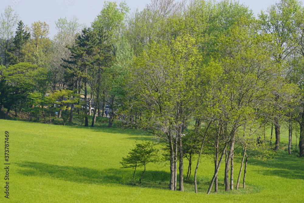 Obraz premium 한국의 들판