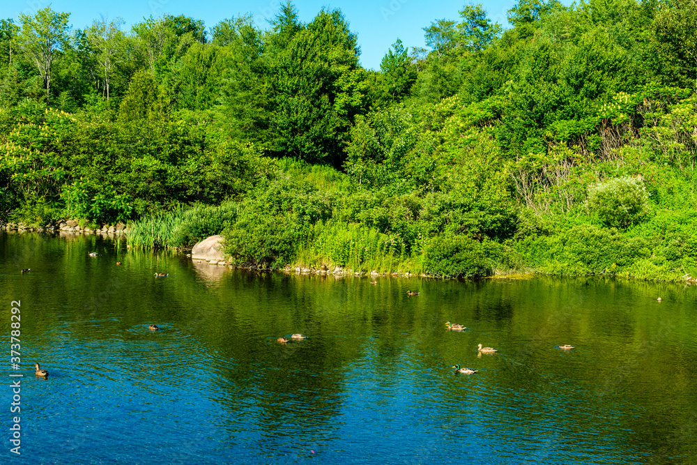 Walking at Des Roches PArk