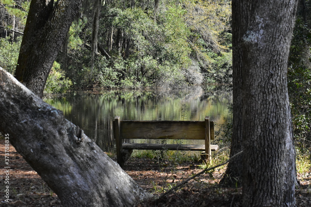Bench by pond Bench by pond