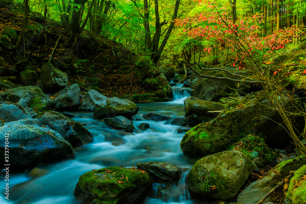 静かな秋の渓流