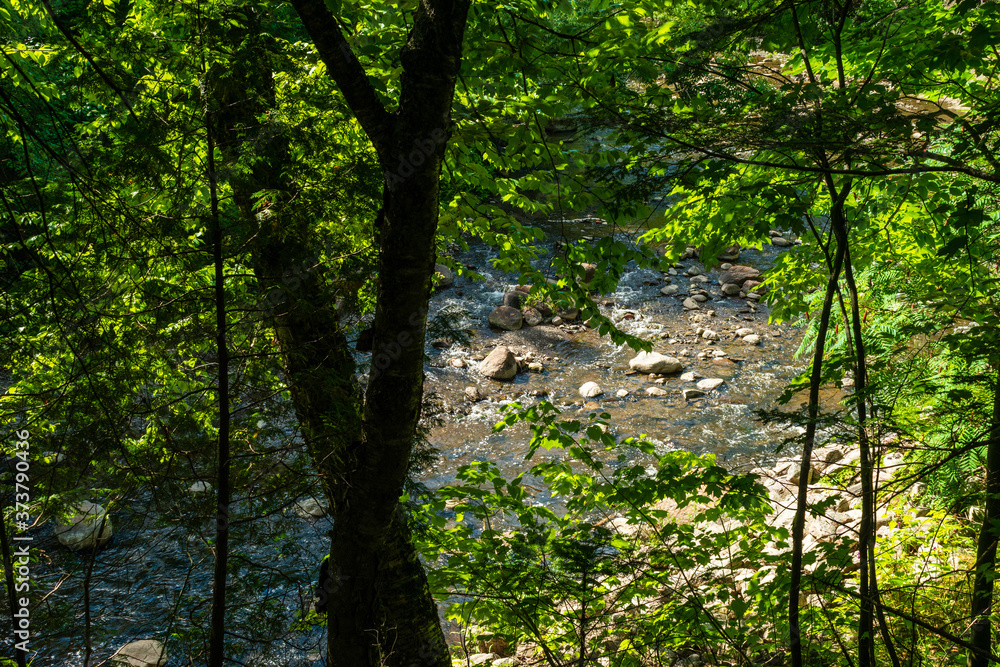 Walking at Escarpement park Walking at Escarpement park