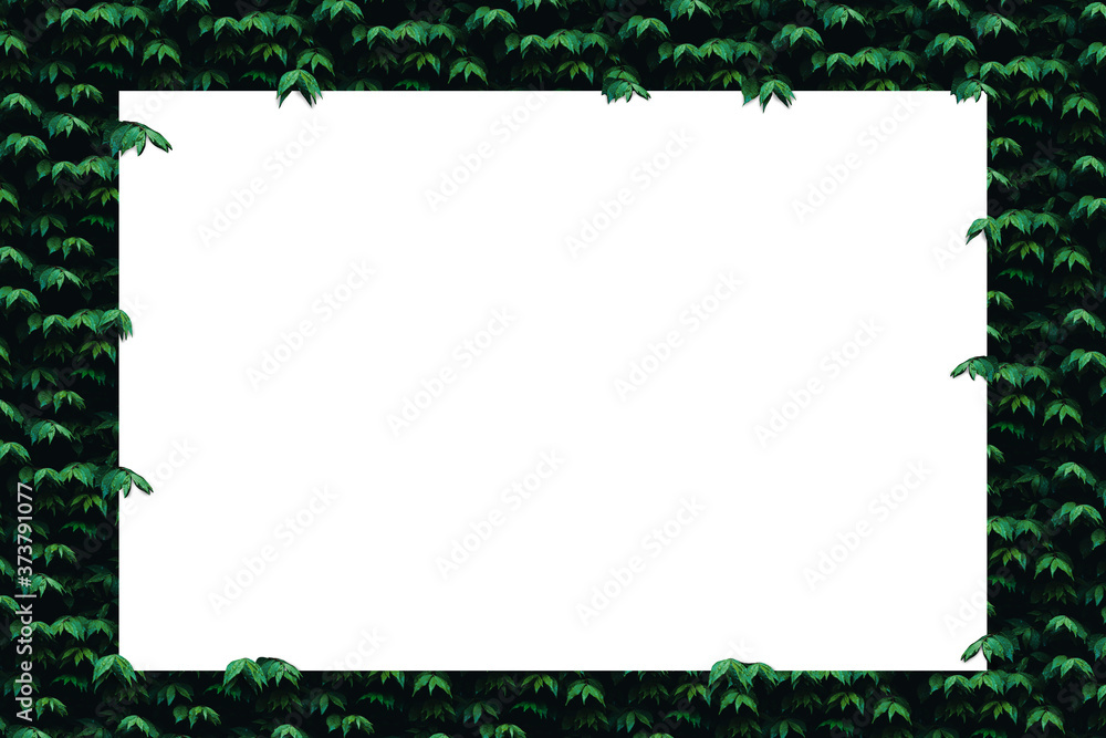 White art paper on a green leaf background. White art paper on a green leaf background.