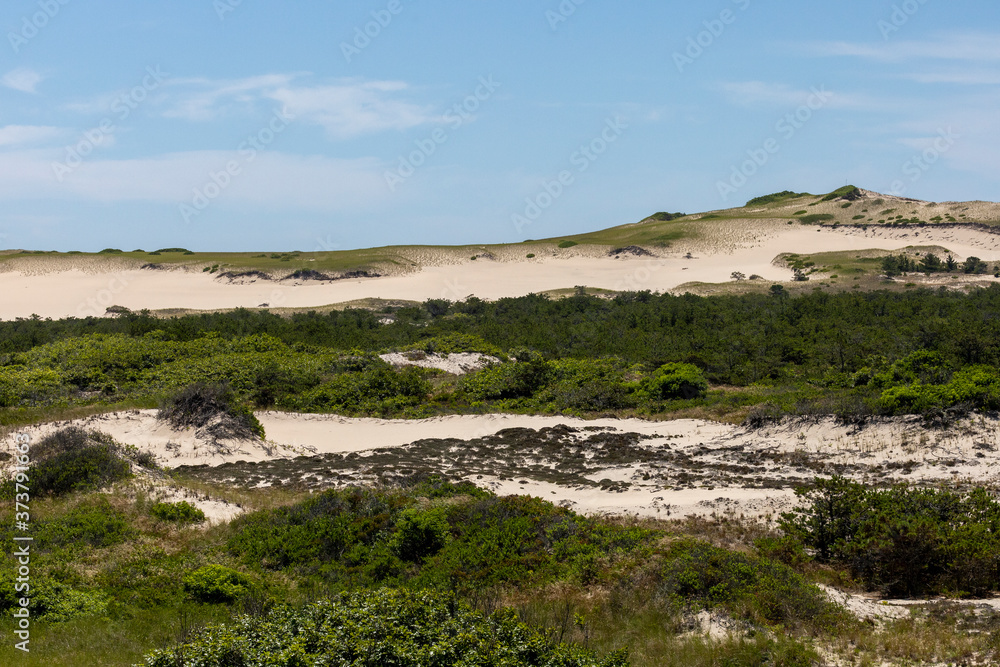 Dunes rise among the sands of the Provincetown coast