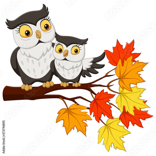 Cute mother owl cartoon and baby on tree branches