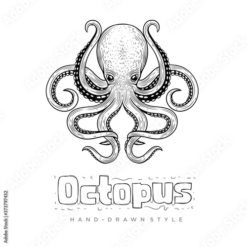 hand drawn style octopus vector. vintage animal illustrations look realistic