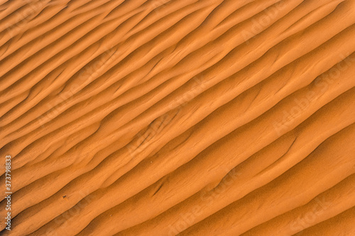 Close up image of beautiful sand texture background © Yakov