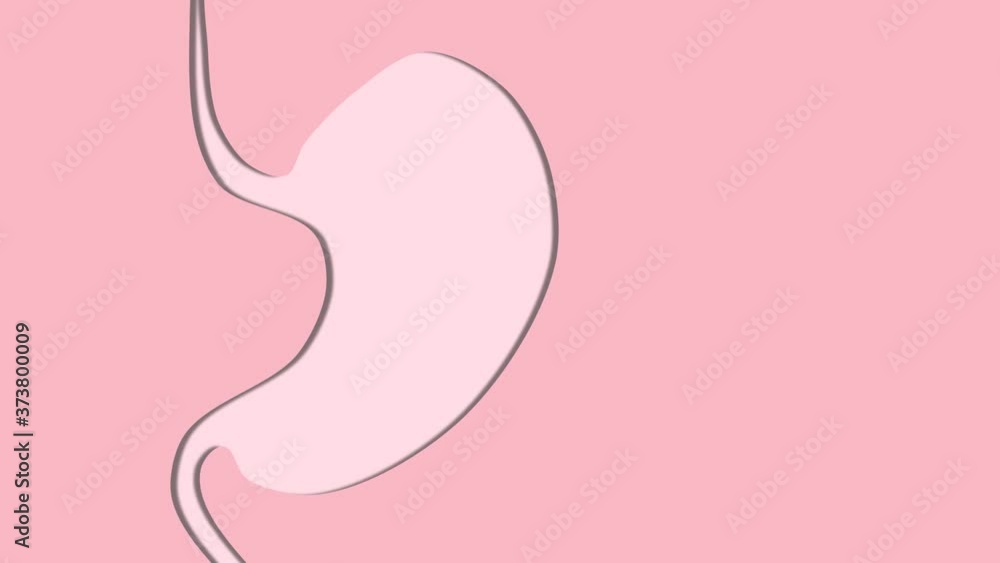Stomach loop animation in pink colors Stomach loop animation in pink colors