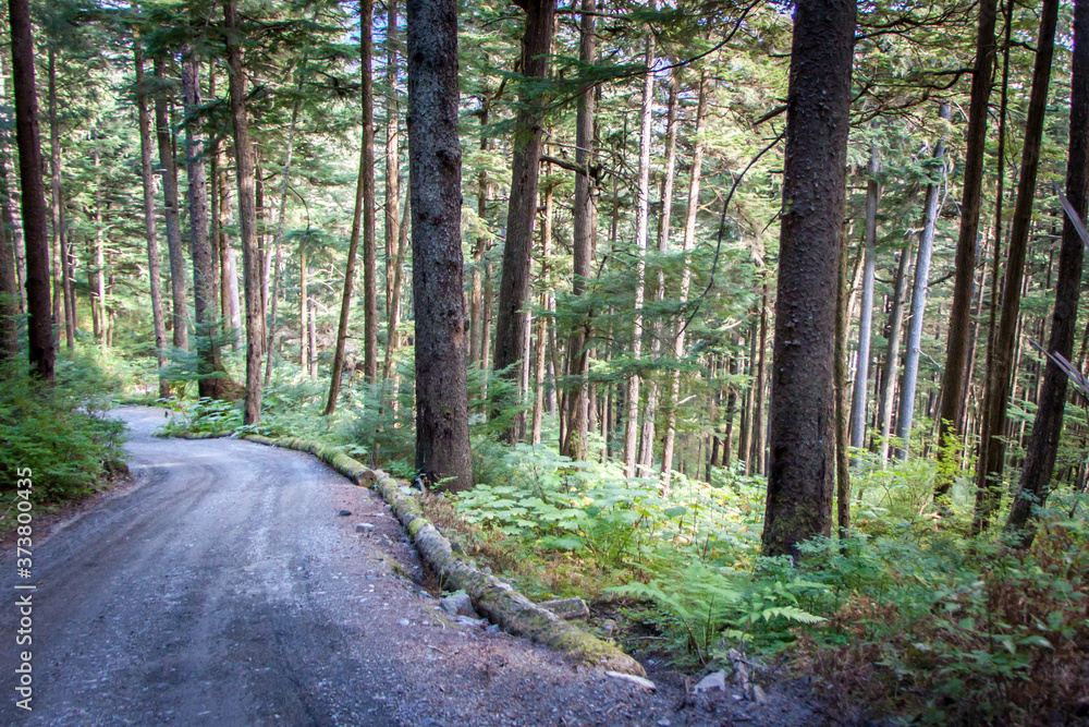 Fototapeta premium ALASKA