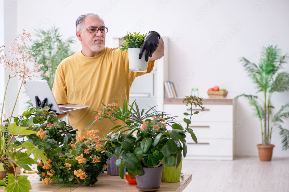 Old male gardener with plants indoors