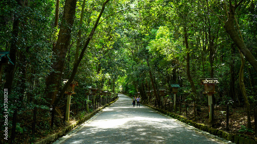 夏の木漏れ日が涼しげな神社の参道