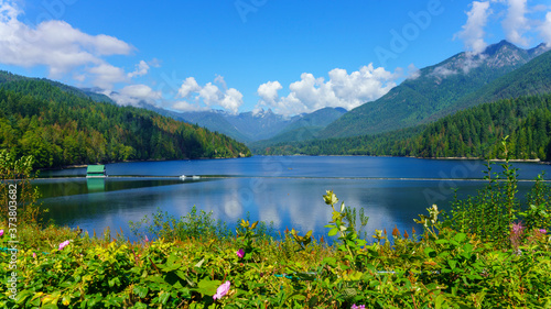 Wild flowers and shrubs with scenic mountain  lake and forest backdrop 