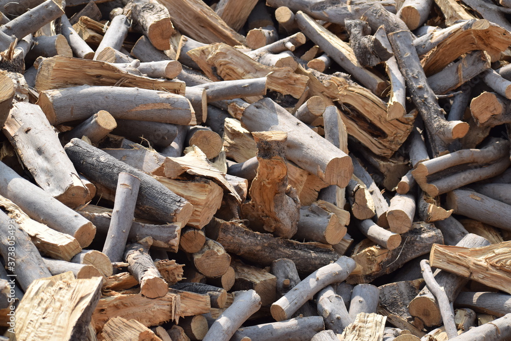 Fragmented wood Fragmented wood