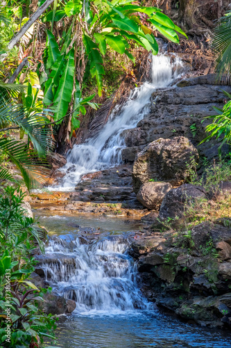 Princeville Botanical Garden, Princeville, Kauai, Hawaii photo
